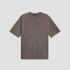 Relaxed Sweater Tee in Regal Wool